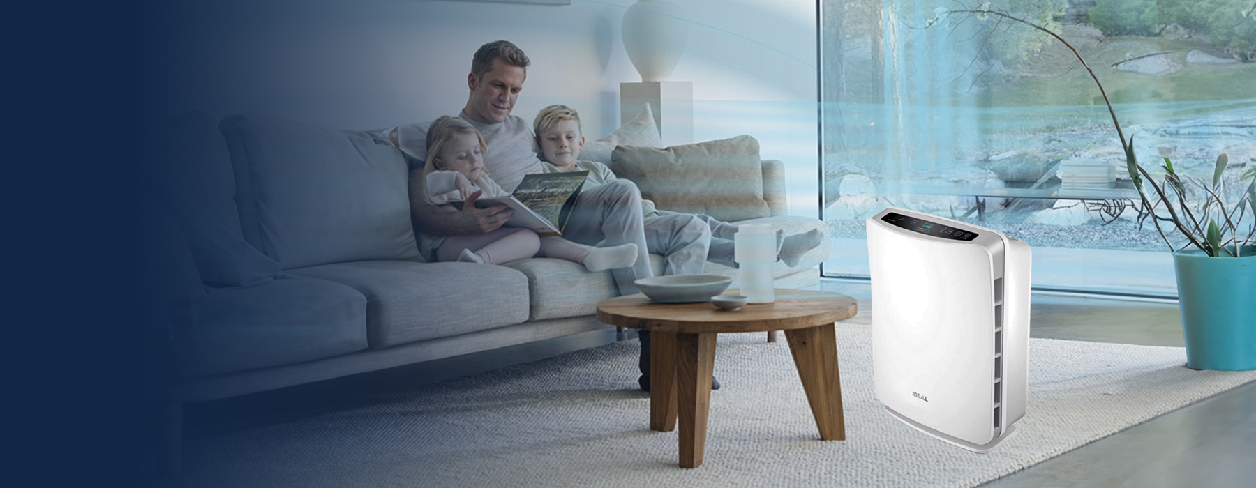 Read more about the article Hello clean air, goodbye hay fever